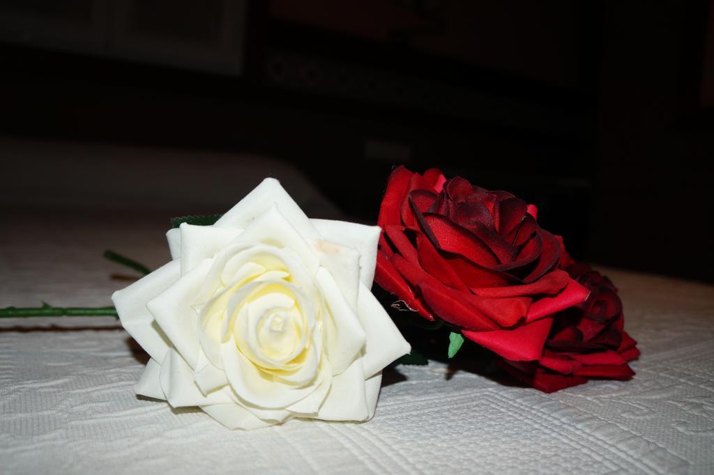 Hostal La Conilena Кониль-де-ла-Фронтера Номер фото